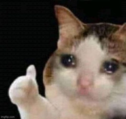 sad cat