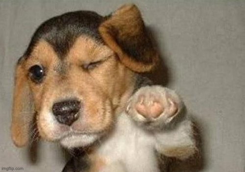 Puppie