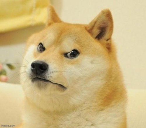 mad doge