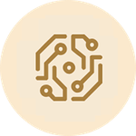 Data Scientist