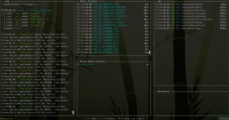 Reactotron, vista general